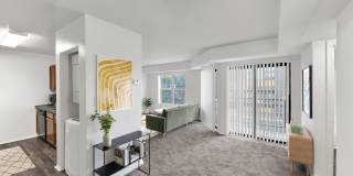 Geno Baroni Gallery 3