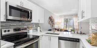 Boca Arbor Club Gallery 13