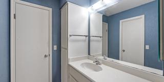 3 Walter Place Gallery 8