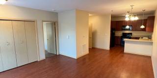 City Deck Landing Gallery 13