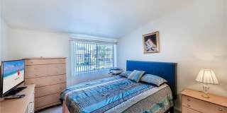 722 WHITE PINE TREE ROAD Gallery 18