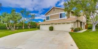 2954 Cape Cod Cir 2954 Cape Cod Cir Gallery 1