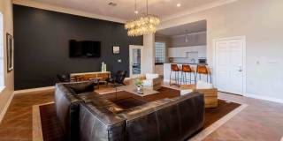 Zone Gallery 25