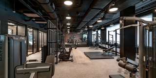 The Frank Gallery 10