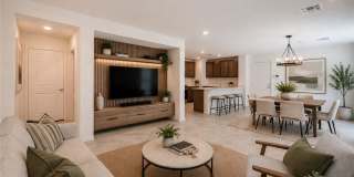 3535 Montepulciano Lane Gallery 8
