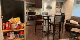 1609 Sydenham Gallery 15
