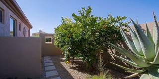 6917 E SIENNA BOUQUET Place Gallery 62