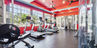 Vista Lake Ned Gallery 10