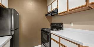 505 Collection Gallery 40