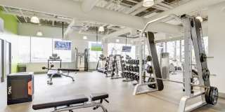 The Oxford Gallery 29