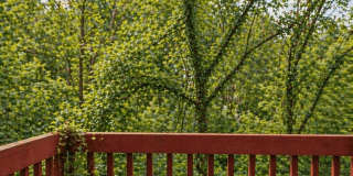 Meadow View Apartments & Townhomes Gallery 29