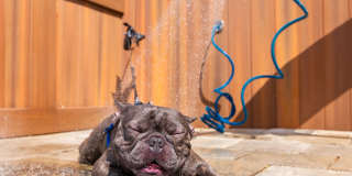 Elon at Winter Park Gallery 20