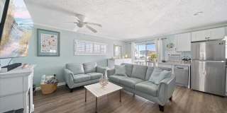 Dolphin Beach Gallery 12