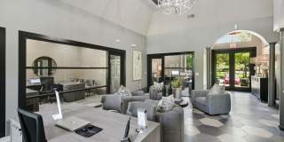 Solano at Chapel Hill Gallery 11