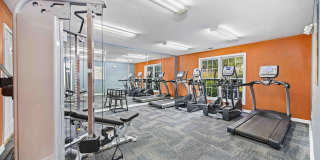 Hollis 7601 Gallery 13