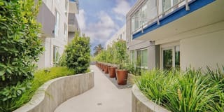 Angelene Apartments Gallery 26