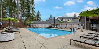 The Marq on Martin Apartments Gallery 3