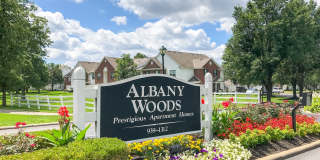 Albany Woods Gallery 12