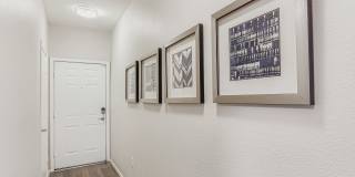 Mandarina Apartment Homes Gallery 76