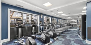 Sofi Lyndhurst Gallery 15