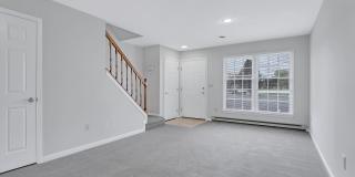 Linden At Elmtree Gallery 3