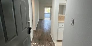 400-420 N. Oakland Ave. Gallery 10