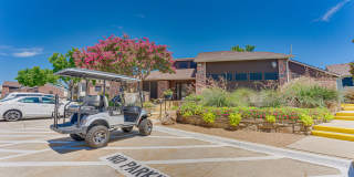 Timberglen Gallery 20