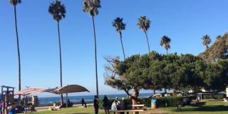 Steps to the Beach in La Jolla! Gallery 1