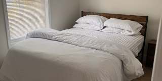 2014 Willis St Gallery 5