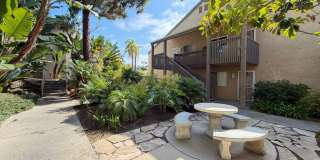 Large Studio in La Jolla / UTC area Gallery 1