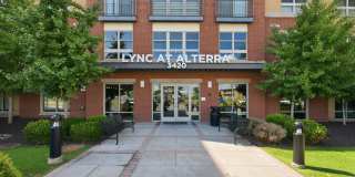 Lync at Alterra Gallery 1