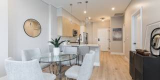 Cadence on Leo Gallery 8