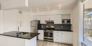 Rise Biltmore Gallery 38