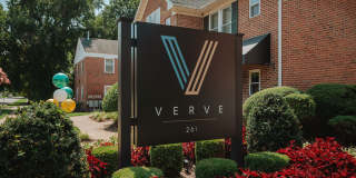 Verve 261 Gallery 30