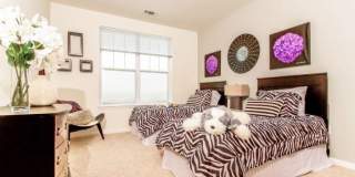 Abbey Lane Gallery 15