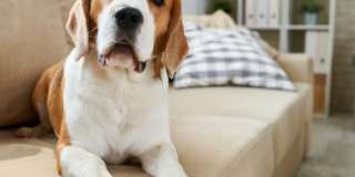 100 Memorial Drive Gallery 32