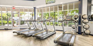 Olympus Carrington Gallery 25