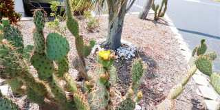 4154 HERON WAY Gallery 14