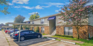 Dove Creek Gallery 13