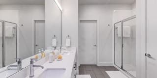 The Saint Mary The Saint Mary Gallery 16