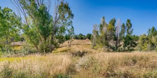 Loretto Heights Gallery 44