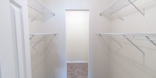 Adriana Court Gallery 25