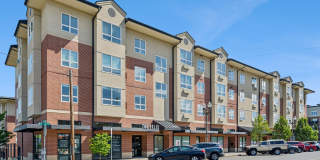 The Felix Gallery 46