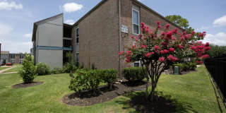 Southwest Village Southwest Village Gallery 60