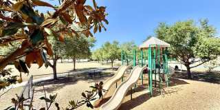 8305 Deerland Bluff Lane Gallery 57