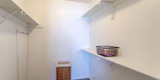 Ascend at Red Rocks Gallery 5