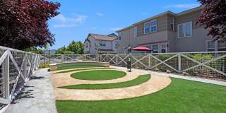 Saratoga Downs at Sheveland Ranch Gallery 112