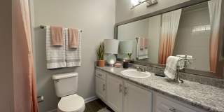 Palmetto Place Gallery 5