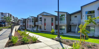 Canyon Terrace Apartments Gallery 20