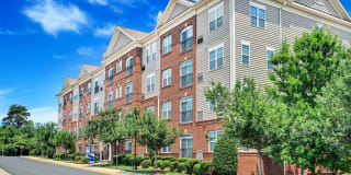 Reid's Prospect Gallery 22